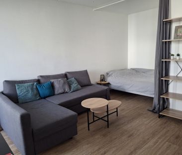 Location Appartement 1 pièce 29m² GRADIGNAN 33170 - Photo 1