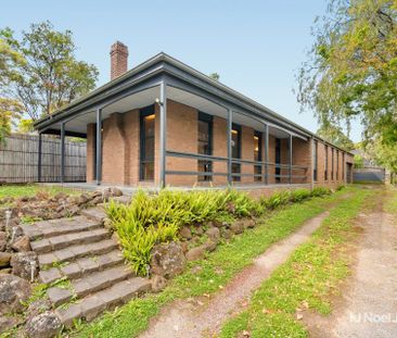 25 Sonia Street, RINGWOOD - Photo 3