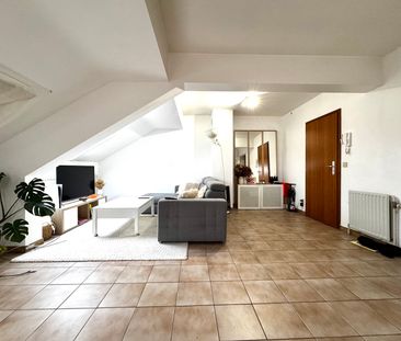 bluets 36a - Photo 1