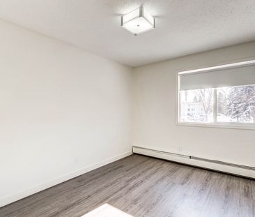 Primrose Lane Apartments - Photo 5