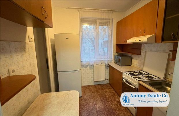 Antony Estate | Chirie 3 Cam, Pet Friendly, Rogerius - Photo 1