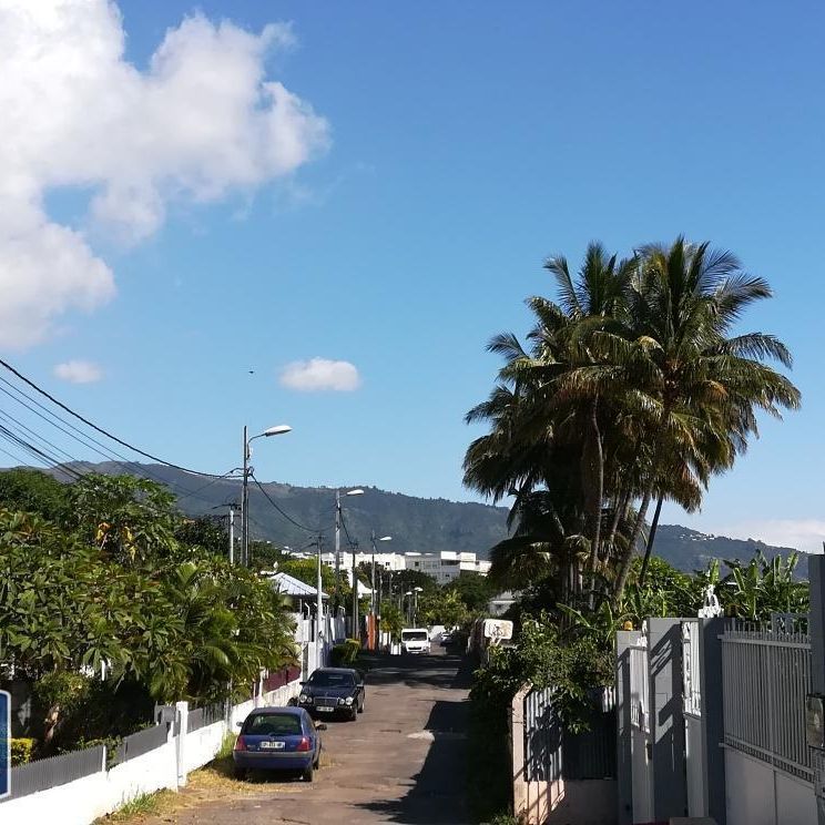 Location Appartement 1 pièce 20m² STE CLOTILDE 97490 - Photo 2