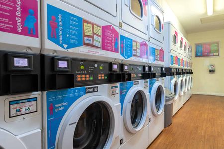 Premium Ensuite - Photo 5