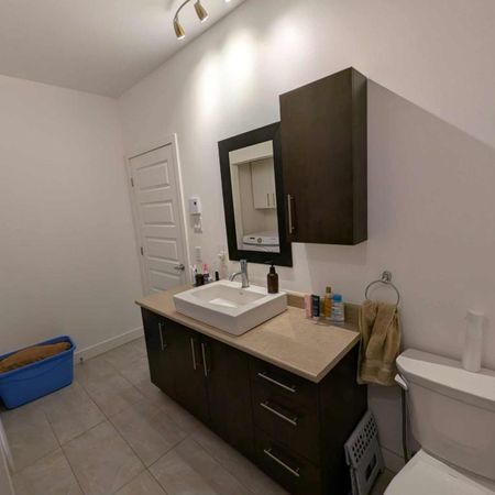 4 ½ style condo – Rez-de-chaussée – 2993 rue Dickson - Photo 4