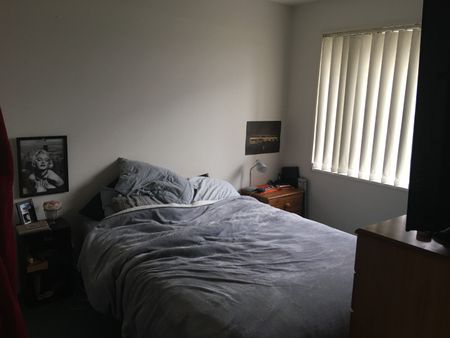 17A Harrow Street, Phillipstown - Photo 5