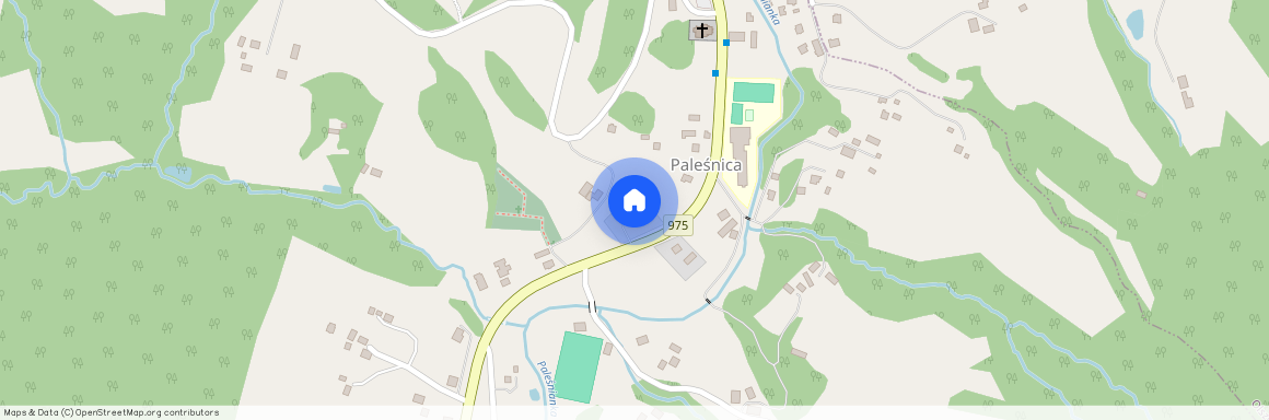 Paleśnica