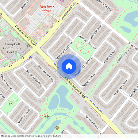 55 Peachleaf Crescent, Brampton