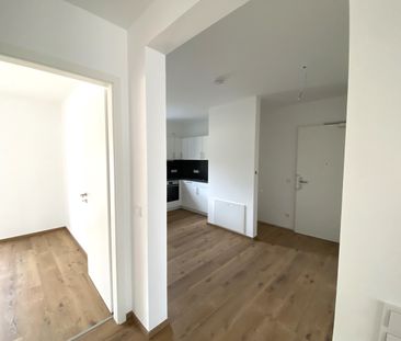 Hier ist das Glück zu Hause! Letzten zwei 2-Zimmer-Wohnungen in SC-Wolkersdorf zur Miete! - Foto 1