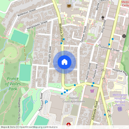 127 Wallace Street, Mount Cook, Wellington City