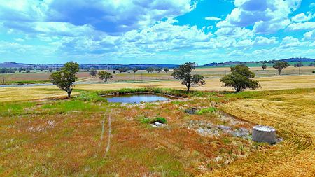 "McLeish" 20 Callaghans Lane, QUIRINDI - Photo 3