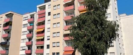 Mietwohnung - Foto 1