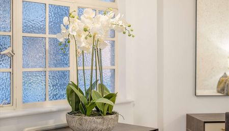 Two Bedroom Garden Flat – St Johns Wood NW8 - Photo 3