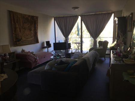 Zetland - Photo 4