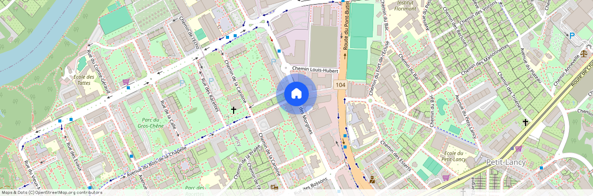 1213, Petit-Lancy, Avenue des Morgines