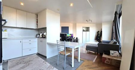 1-slpk dakappartement met 2 grote terrassen - Photo 3