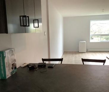 Condo 4 1/2 bord du fleuve rénove à louer ou vendre - Photo 1