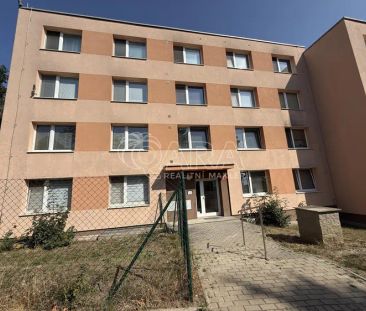 Pronájem bytu 1+1 se sklepní kójí a možností užívání zahrady u domu - Photo 1