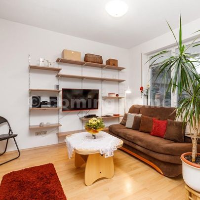 Für Gartenfreunde: Auf der Terrasse entspannen - Photo 1