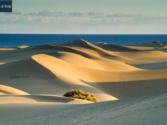 San Bartolome de Tirajana, Canary Islands 35100 - Photo 1