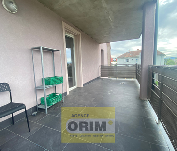 Location Appartement 3 pièces 65m² ST LOUIS 68300 - Photo 5