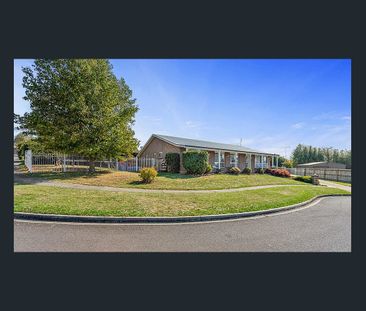 Spacious Family Home in Quiet Court Location - Photo 3