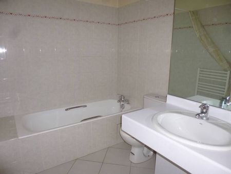 Appartement 1 pièce - 69004 Lyon 4e Arrondissement - Photo 3