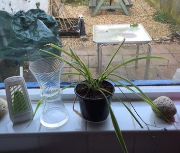 2 bedroom cottage to rent - Photo 1