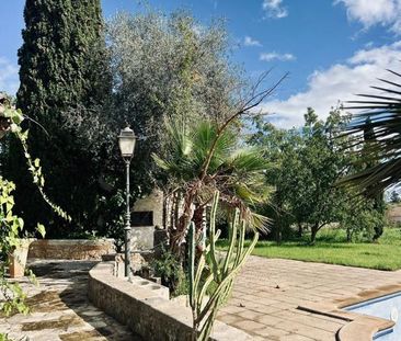 5 room luxury Farmhouse for rent in Binissalem, Spain - Photo 3