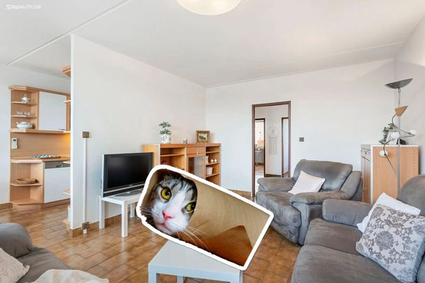 Pronájem bytu 3+1 • 88 m² bez realitkyChalabalova, Praha - Stodůlky - Photo 1