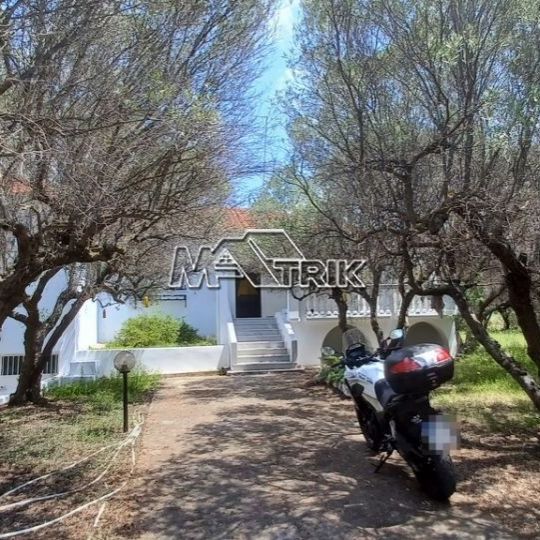 Μονοκατοικία για ενοικίαση Νέα Καλλικράτεια (Καλλικράτεια) - Photo 1