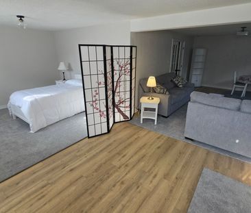 For Lease - 110 Milton Street Unit# Lower Level, Toronto, Ontario - Photo 5
