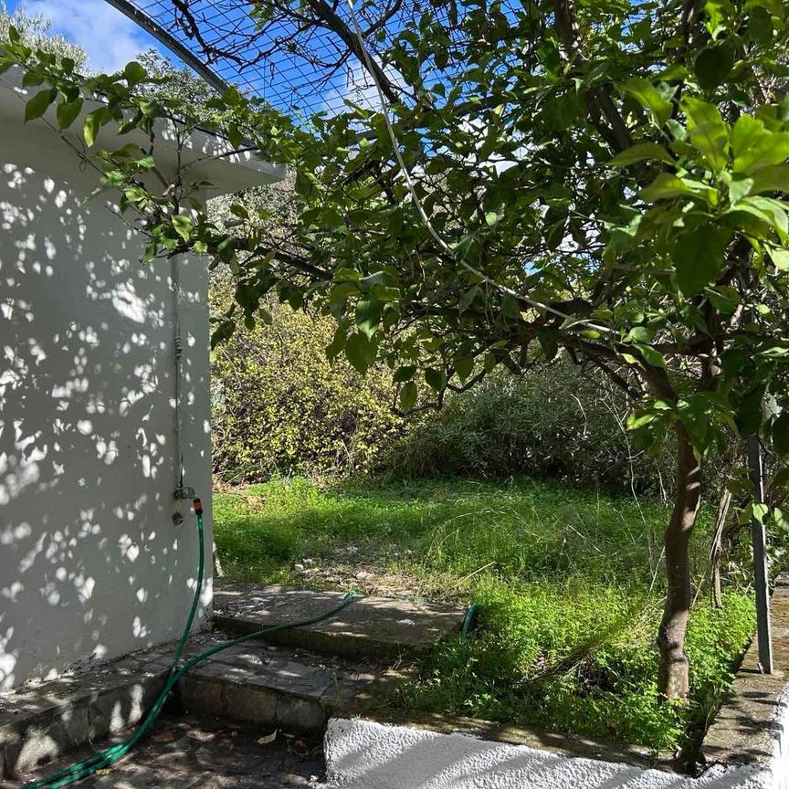 Μονοκατοικία για ενοικίαση Γωνιά (Νικηφόρος Φωκάς) - Φωτογραφία 1