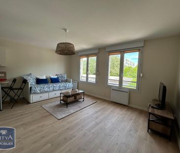 Location Appartement 1 pièce 32m² CHEVIGNY ST SAUVEUR 21800 - Photo 2