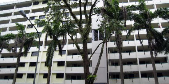Blk 60 Telok Blangah Heights (Bukit Merah), HDB 3 Rooms - For Rent - Photo 3