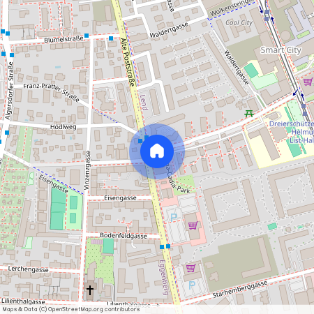 Alte Poststraße 83-85 / 50, 8020, Graz