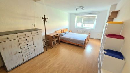 Duże mieszkanie dla rodziny lub dwóch par – zdjęcie 4