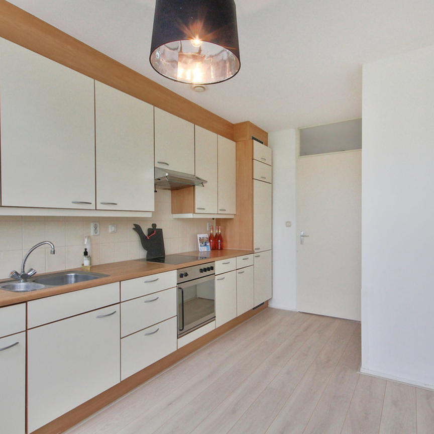 Te huur: Nachtvlinderplantsoen 21 - Photo 1