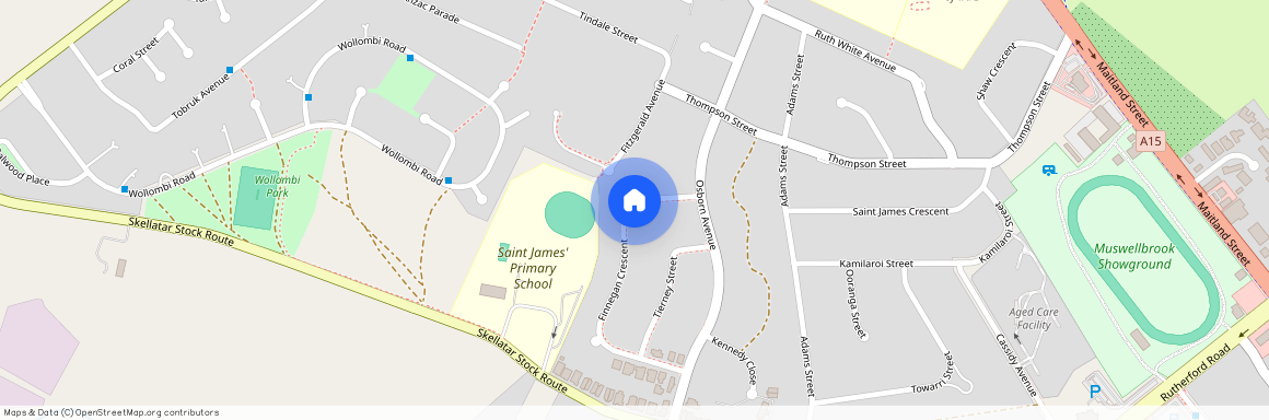 33 Finnegan Cres, NSW 2333, Muswellbrook