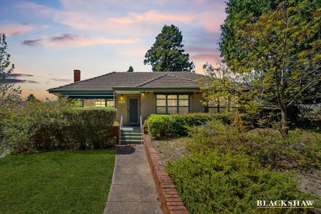 15 Hodgkinson Street, Griffith ACT 2603 - House For Rent | Domain - Photo 4