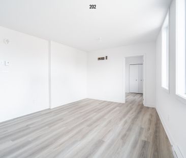 Condo for rent, Montréal (Rosemont/La Petite-Patrie) - Photo 5