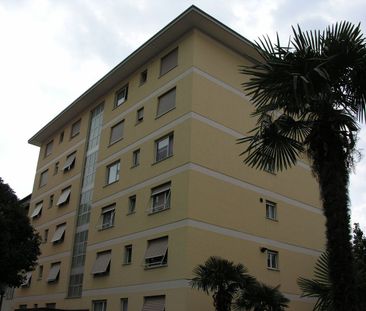 Affittasi appartamento 2.5 locali - Foto 2