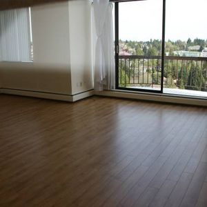 LARGE 2 BEDROOM 1073 SQ-FT HIGH-RISE APARTMENTS FOR RENT - Photo 2