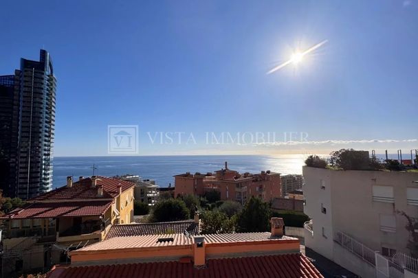 Beausoleil - appartement deux pièces - Photo 1