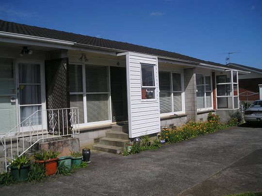 ONEHUNGA - Within walking Distance to Dressmart - Photo 1