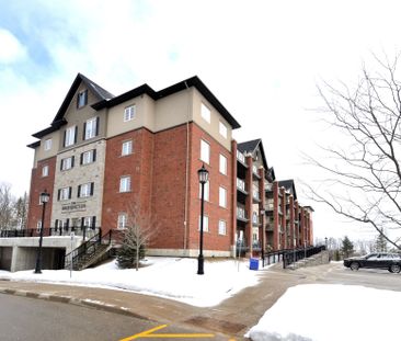 For Lease - 5 Greenwich Street Unit# 208, Barrie, Ontario - Photo 5