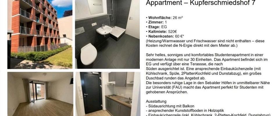 Suche Nachmieter für Wohnung in Nürnberg Mitte - Foto 1
