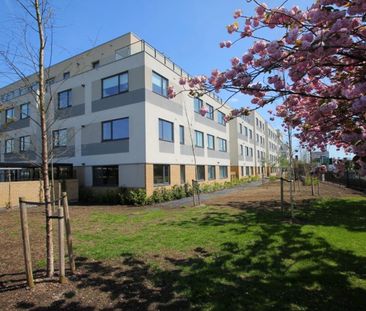 West Plaza, Town Lane, Stanwell, Staines-Upon-Thames,TW19 - Photo 3