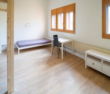Z 6 / Möbliertes Studio in Laax - Foto 1