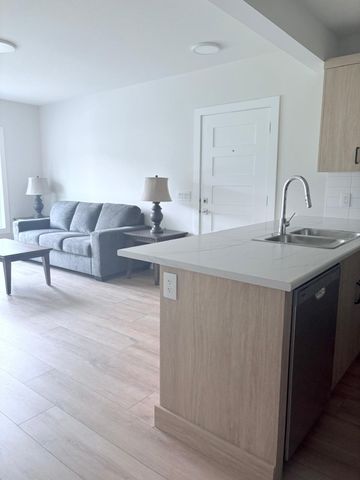 Brand New walkout in Black Mountain - Photo 2