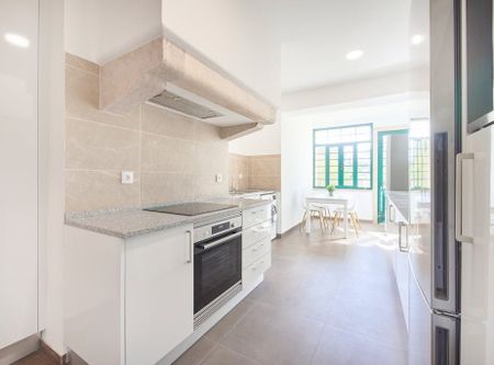 Rua Fialho de Almeida, Lisbon, Lisbon 1070 - Photo 3